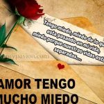 cartas de amor correspondidas