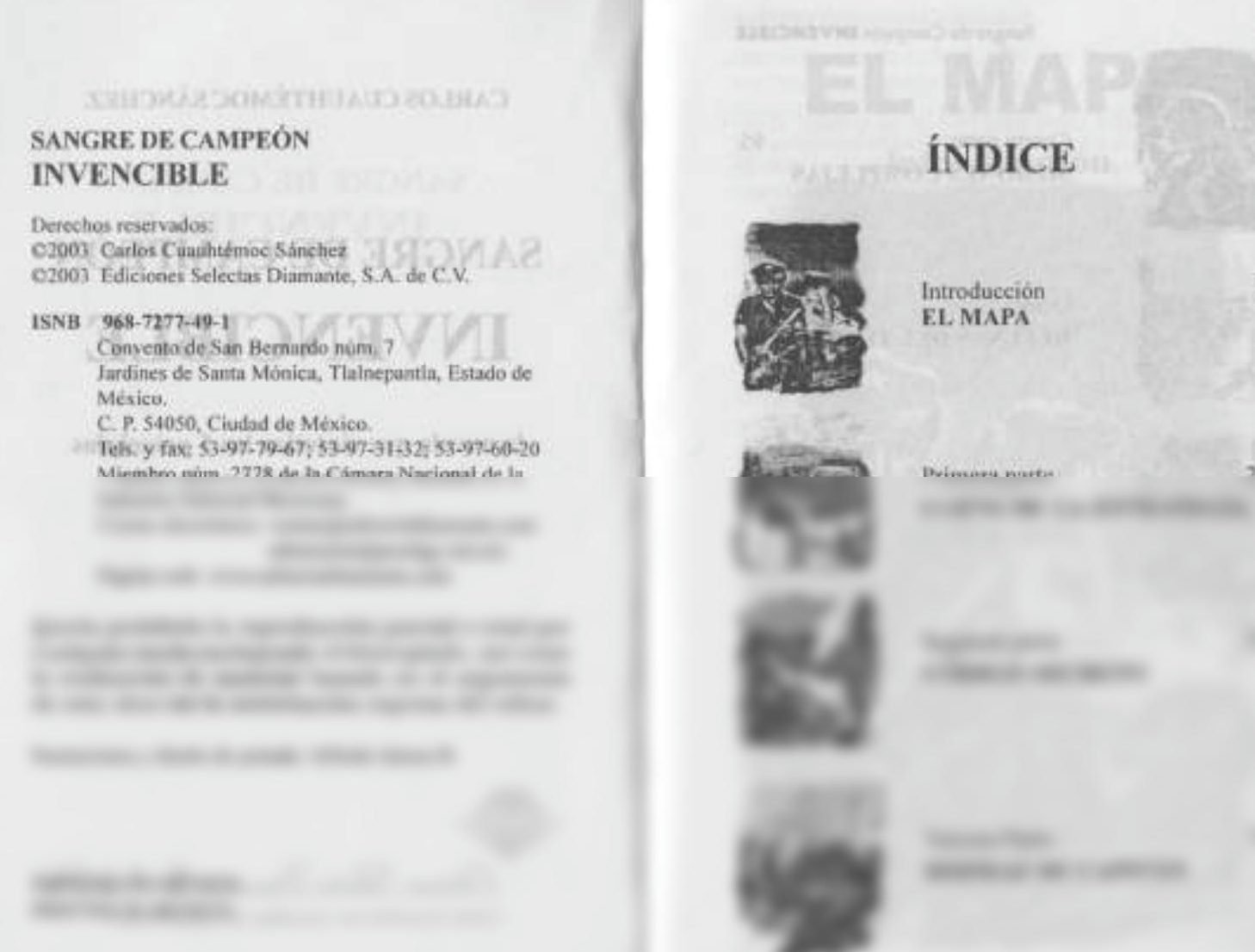 SANGRE de CAMPEÓN - RESEÑA Exclusiva y DETALLADA