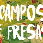 Resumen y personajes de Campos de Fresas: todo lo que necesitas saber